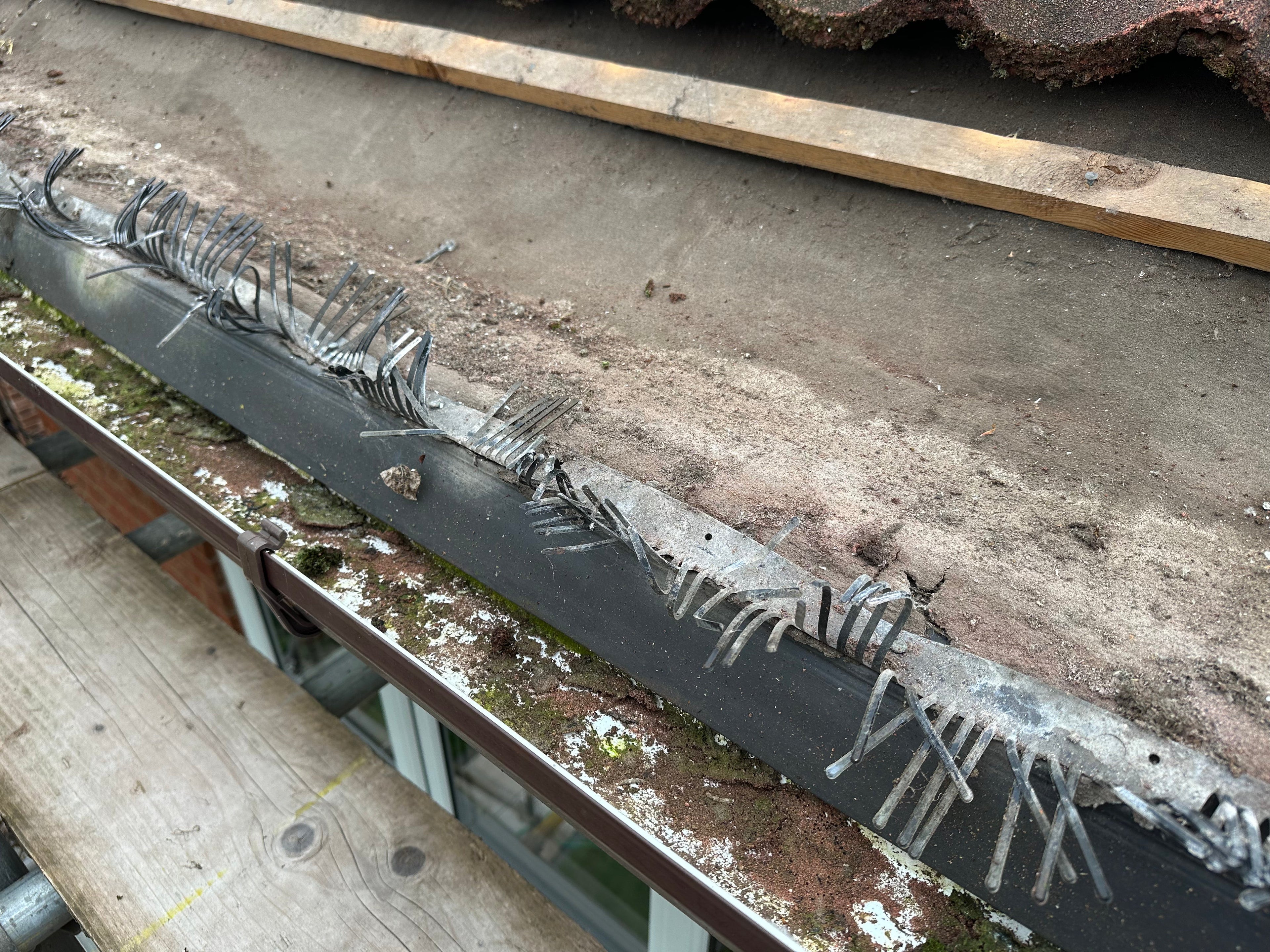 Galvanised Steel vs Plastic: The Superior Choice for Eaves Filler Combs